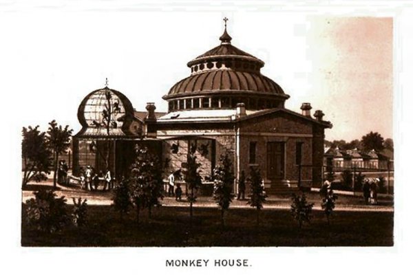 Зеркало kraken krakens16