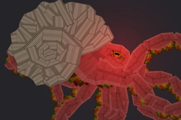 Kraken 12 at что это